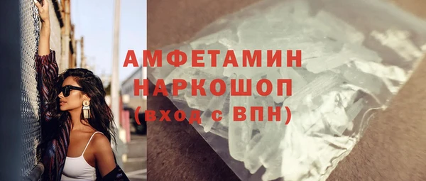хмурый Алексин