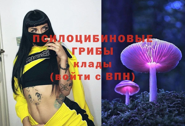 прущие грибы Алексеевка