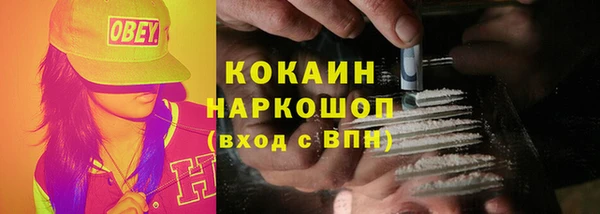 трава Магас
