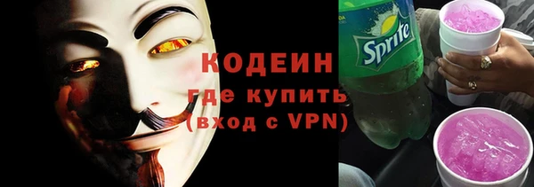 хмурый Алексин