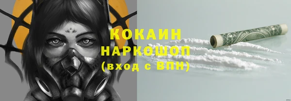 хмурый Алексин