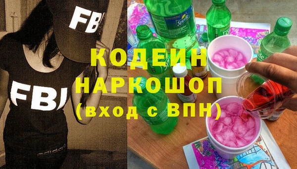 хмурый Алексин