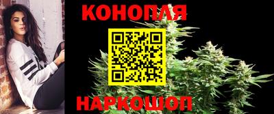 прущие грибы Изобильный