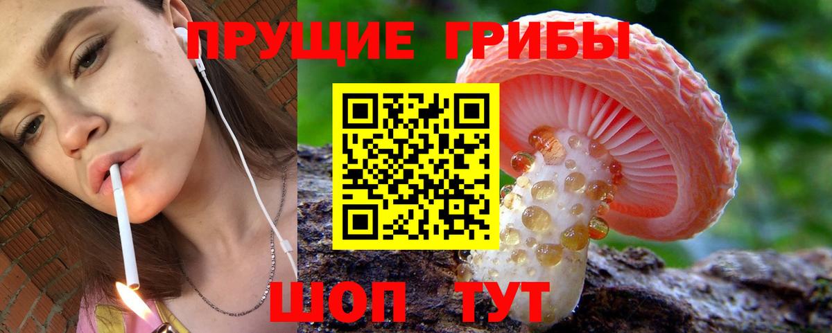 Галлюциногенные грибы MAGIC MUSHROOMS  Галлюциногенные грибы ЛСД  Чистополь  Вход с VPN 